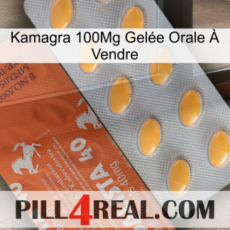 Kamagra 100Mg Gelée Orale À Vendre 43